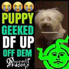 A Poster That Says Puppy Geeked Df Up Off Dem With A Picture Of A Dog And Shrek GIF
