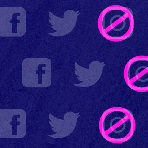 A Poster That Says Quarantine Fake Blm Accounts On It GIF
