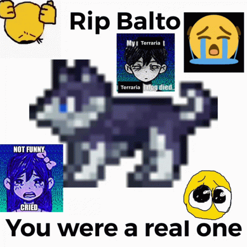 A Poster That Says Rip Balto You Were A Real One On It GIF