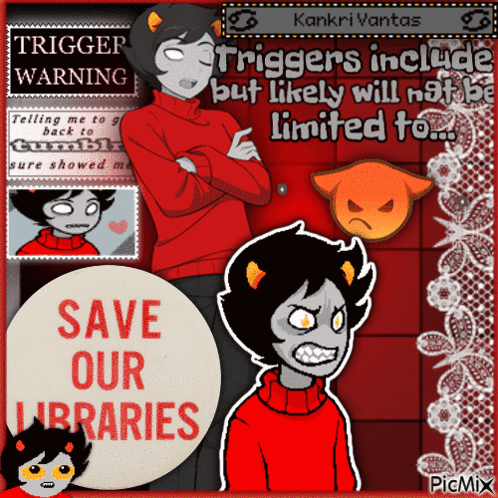 a poster that says save our libraries on it