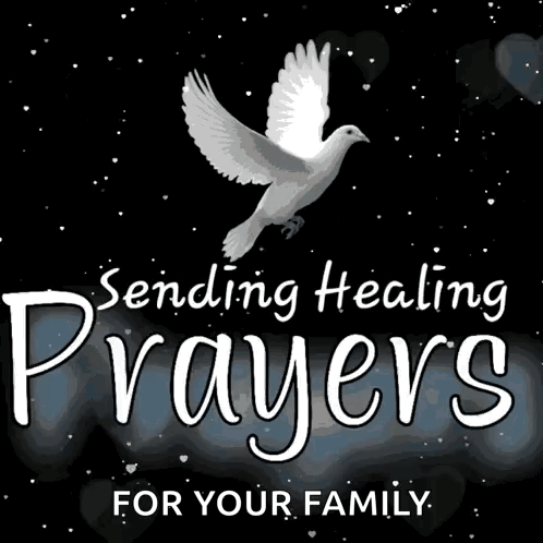 A Poster That Says Sending Healing Prayers For Your Family With A Dove GIF