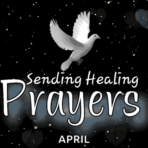a poster that says sending healing prayers with a dove