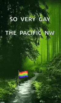 a poster that says so very gay the pacific nw with a rainbow flag in the foreground