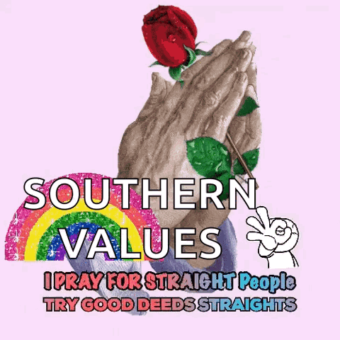 A Poster That Says Southern Values On It GIF