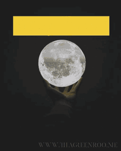 A Poster That Says " Stay Wild Moon Child " On It GIF