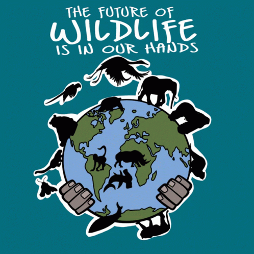 A Poster That Says " The Future Of Wildlife Is In Our Hands " On It GIF