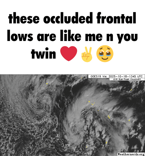 A Poster That Says These Occluded Frontal Lows Are Like Me And You Twin GIF