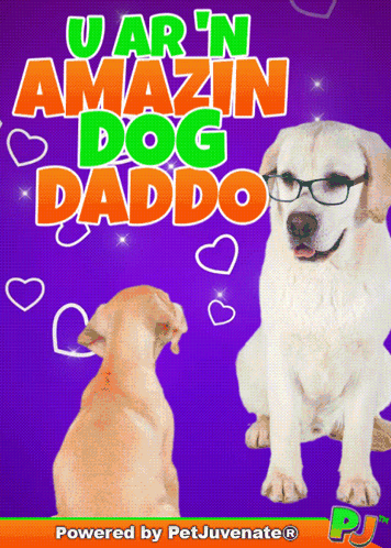 A Poster That Says U Ar N Amazin Dog Daddo On It GIF