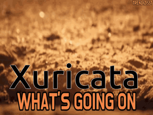 a poster that says xuricata what 's going on in orange letters