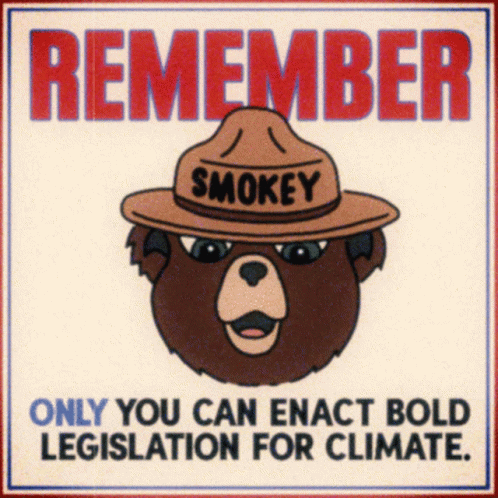 A Poster With A Bear Wearing A Hat That Says Smokey GIF