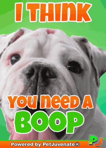A Poster With A Bulldog And The Words " I Think You Need A Boop " GIF