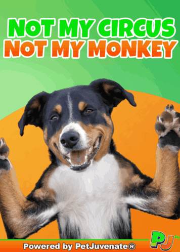 A Poster With A Dog And The Words Not My Circus Not My Monkey GIF