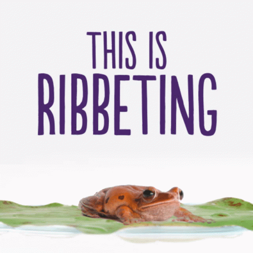 A Poster With A Frog And The Words This Is Ribbeting On It GIF