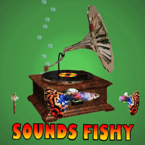 A Poster With A Gramophone And The Words Sounds Fishy On It GIF