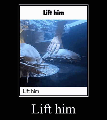 A Poster With A Picture Of A Crab And The Words Lift Him GIF