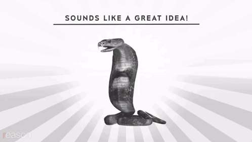 A Poster With A Snake And The Words " What Could Possibly " On It GIF