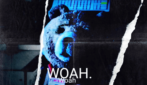 A Poster With A Teddy Bear And The Words Woah GIF