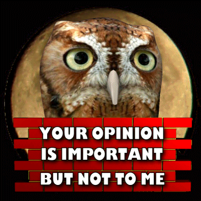A Poster With An Owl And The Words " Your Opinion Is Important But Not To Me " GIF