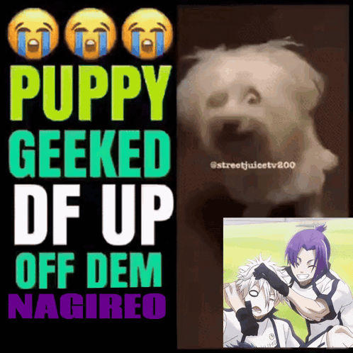A Poster With The Words Puppy Geeked Df Up Off Dem Nagireo GIF