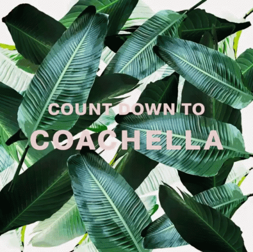 A Poster With Tropical Leaves And The Words Countdown To Coachella On It GIF