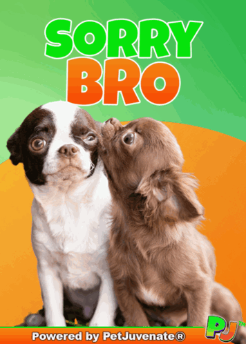 A Poster With Two Dogs And The Words Sorry Bro On It GIF