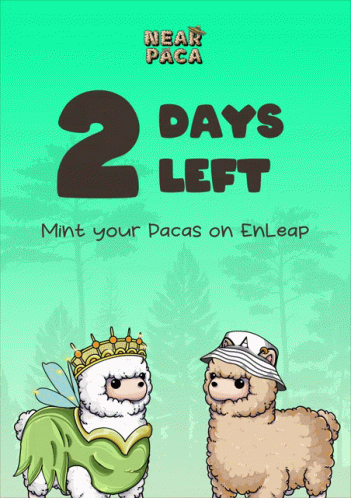 A Poster With Two Llamas And The Words 2 Days Left Mint Your Pacas On Enleap GIF