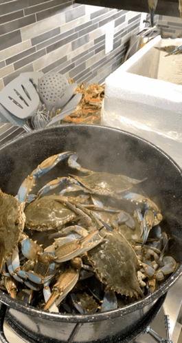 A Pot Of Blue Crabs Is Cooking On A Stove GIF