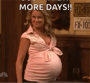 A Pregnant Woman In A Pink Shirt Is Standing In Front Of A Wooden Wall . GIF