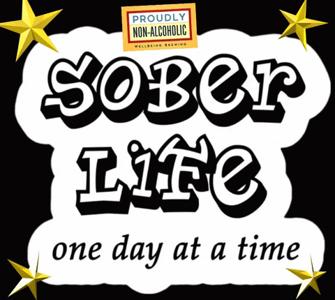 A Proudly Non-Alcoholic Sober Life One Day At A Time Sign GIF