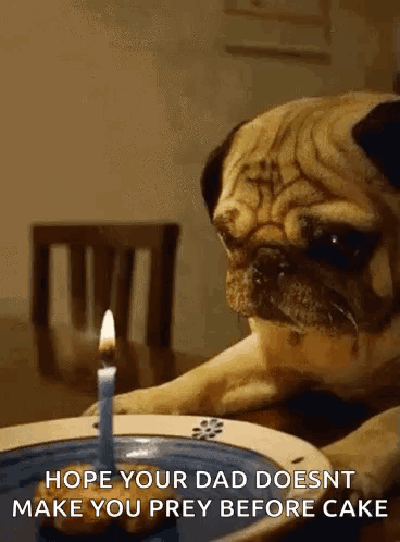 A Pug Dog Is Sitting At A Table With A Lit Candle In Front Of Him . GIF