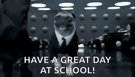 A Pug Dog Is Wearing A Suit And Tie And Is Walking In A Room . GIF