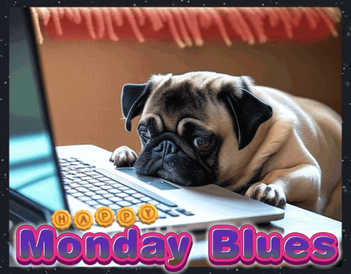 A Pug Dog Laying On Top Of A Laptop With The Words Monday Blues GIF