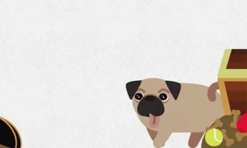 A Pug Dog Wearing A Pirate Hat Stands In Front Of A Treasure Chest GIF