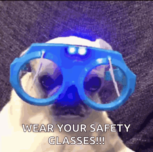 A Pug Dog Wearing Blue Safety Glasses With A Light On It 'S Nose GIF