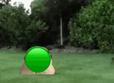 A Pug Is Laying In The Grass With A Green Circle In Front Of Its Face . GIF