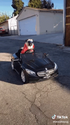 A Pug Wearing A Santa Hat Is Driving A Mercedes Toy Car GIF
