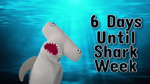 A Puppet Of A Hammerhead Shark With The Words 6 Days Until Shark Week Behind It GIF