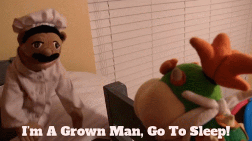A Puppet Says I 'M A Grown Man Go To Sleep In Front Of A Stuffed Animal GIF