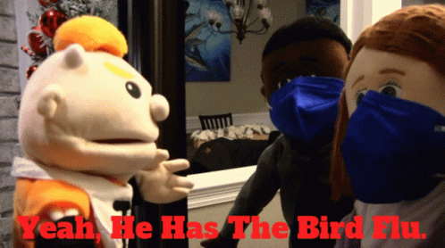 A Puppet Wearing A Mask With The Words Yeah He Has The Bird Flu Below It GIF