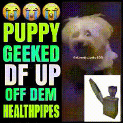 A Puppy Geeked Df Up Off Dem Healthpipes GIF
