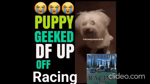 A Puppy Geeked Df Up Off Racing Ad GIF