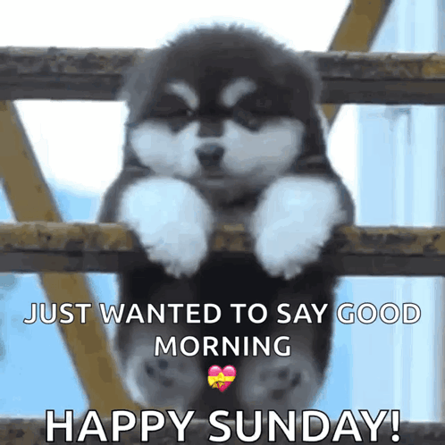 A Puppy Is Hanging Over A Fence With The Words Just Wanted To Say Good Morning Happy Sunday GIF