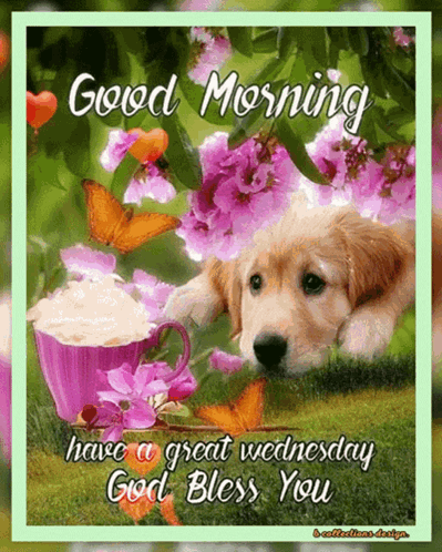 A Puppy Is Laying Next To A Cup Of Coffee And Butterflies On A Good Morning Card GIF