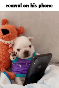 A Puppy Is Sitting Next To A Stuffed Animal Looking At A Cell Phone . GIF