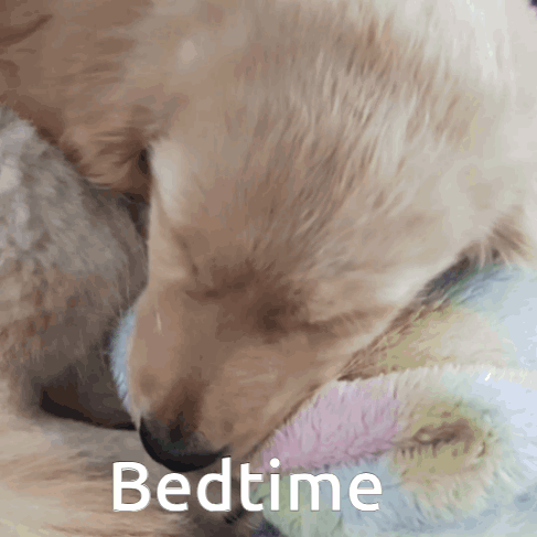 A Puppy Is Sleeping On A Blanket With The Word Bedtime Written Below It GIF