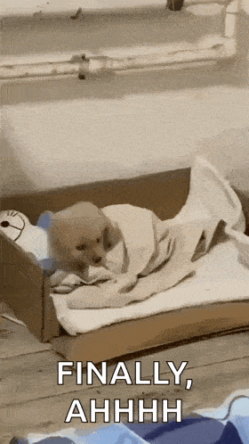 A Puppy Is Wrapped In A Blanket In A Cardboard Box With The Words Finally Ahhhh Below It GIF