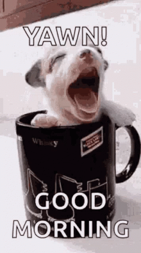 A Puppy Is Yawning In A Coffee Mug And Saying `` Yawn ! Good Morning '' . GIF