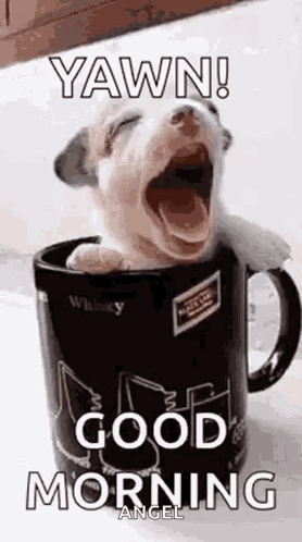 A Puppy Is Yawning In A Coffee Mug And Says `` Yawn ! Good Morning '' . GIF