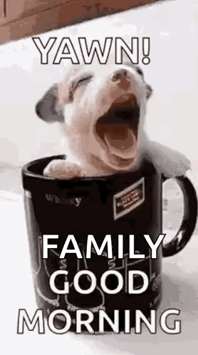 A Puppy Is Yawning In A Coffee Mug With A Good Morning Message . GIF