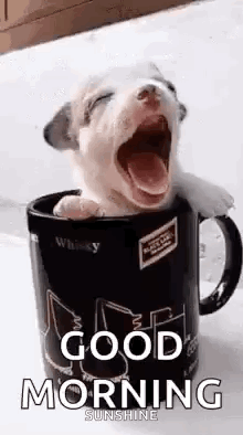 A Puppy Is Yawning In A Coffee Mug With A Good Morning Message . GIF